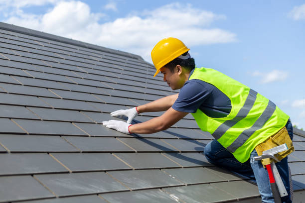 Professional Roofing Contractor in Glyndon, MN