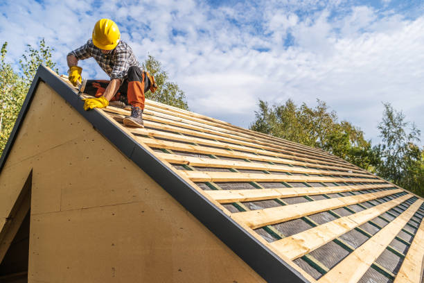 Best Gutter Installation and Roofing  in Glyndon, MN